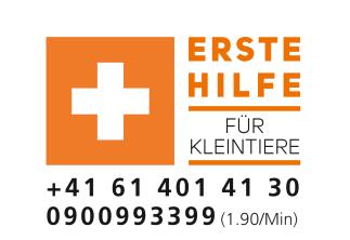 Erste Hilfe