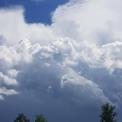 Gewitter Hund