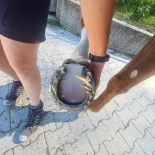 Sohle zur Stossdämpfung