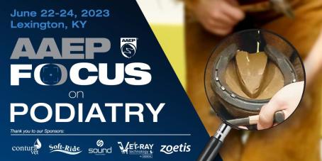 Public evening / Hufseminar